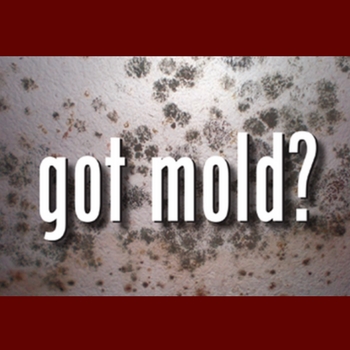 Home Inspection Mold