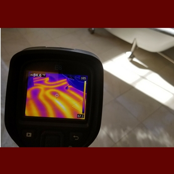 Home Inspection Thermal