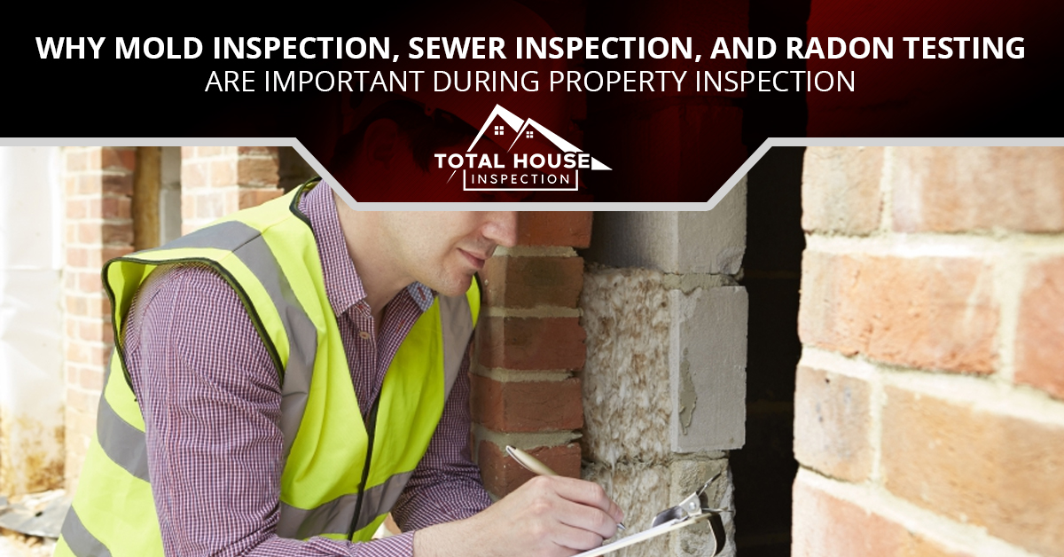 Why Mold Inspection, Sewer Inspection, And Radon Testing Are Important During Property Inspection
