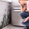 Mold Inspection And Testing For Michigan Homebuyers