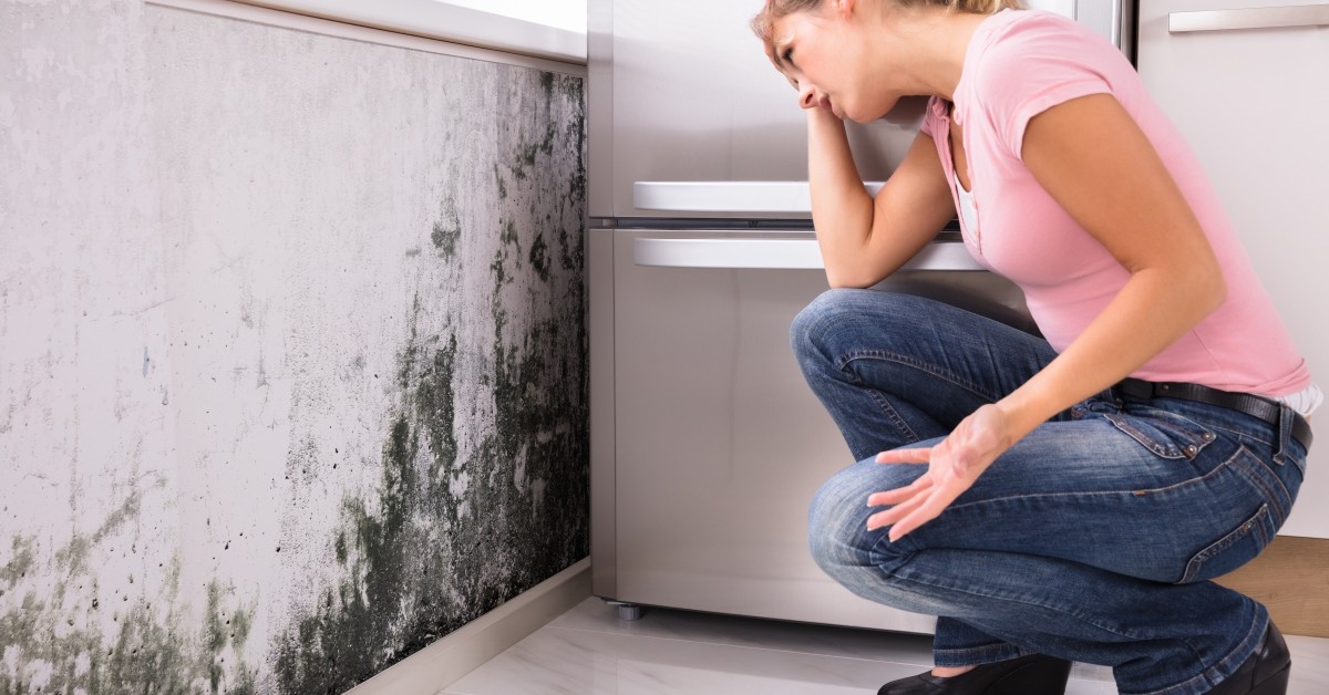 What To Do After Mold Remediation