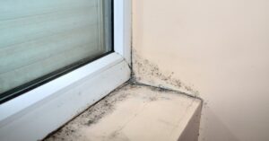 Mold Inspections