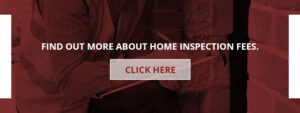 Why Have Mold Testing Performed On A House?