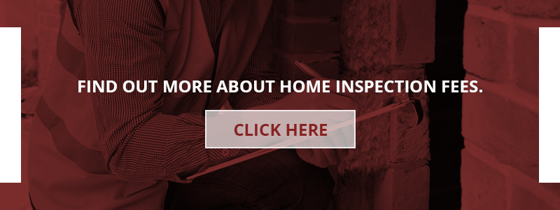 Why Have Mold Testing Performed On A House?