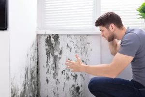 how mold affects health​