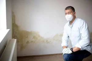 mold detection