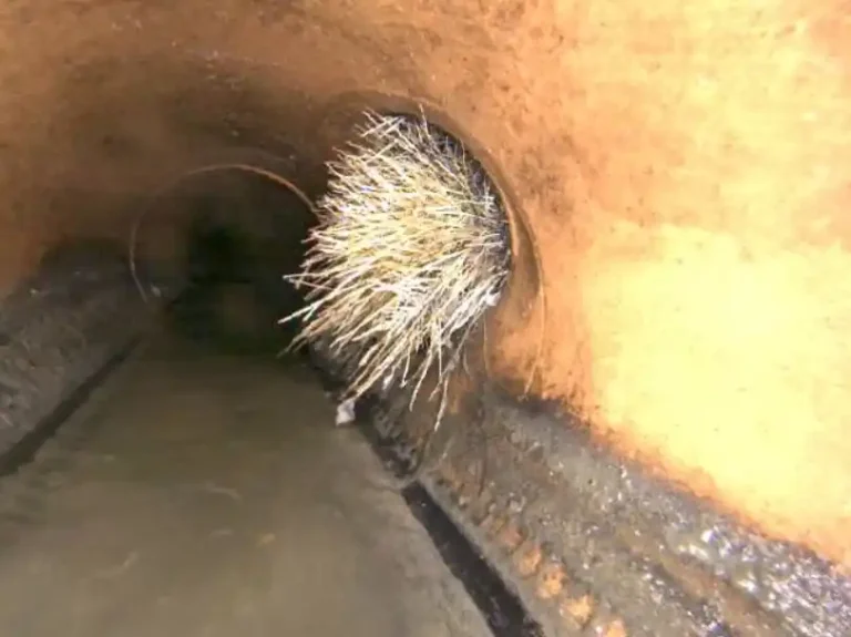 sewer-scope (6)
